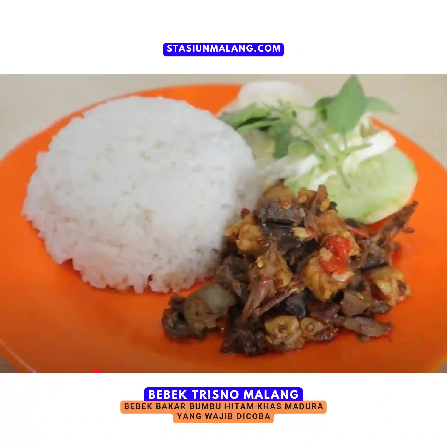 bebek trisno malang
